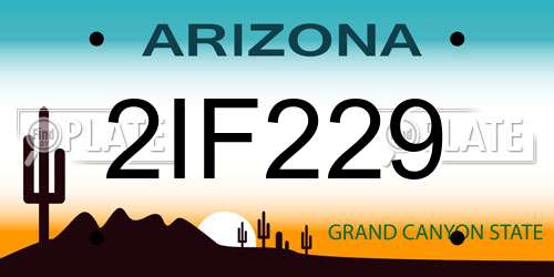 2IF229 Arizona License Plate