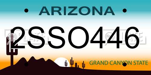 2SSO446 Arizona License Plate