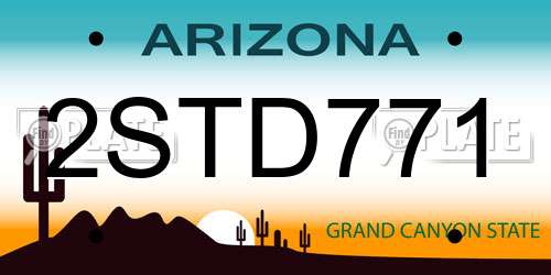 2STD771 Arizona License Plate