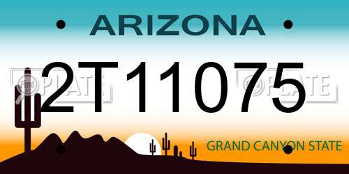 2T11075 Arizona License Plate