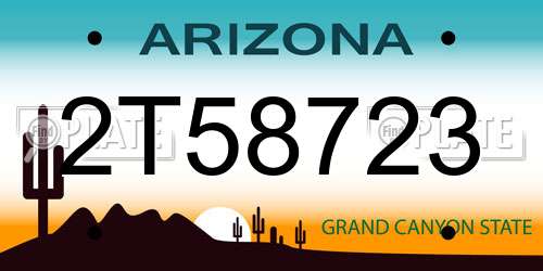 2T58723 Arizona License Plate