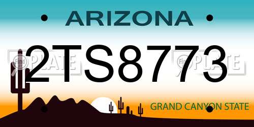 2TS8773 Arizona License Plate
