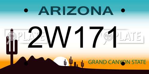 2W171 Arizona License Plate