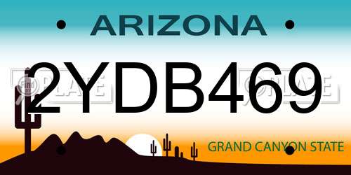 2YDB469 Arizona License Plate