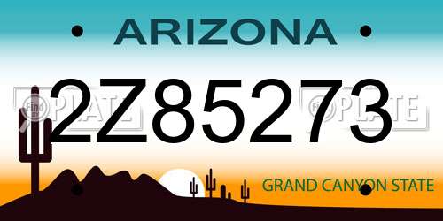 2Z85273 Arizona License Plate