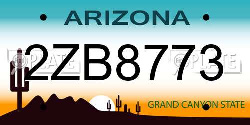 2ZB8773 Arizona License Plate