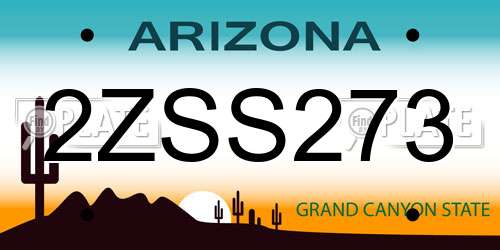 2ZSS273 Arizona License Plate