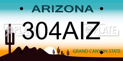304AIZ Arizona License Plate