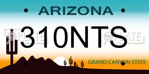 310NTS Arizona License Plate