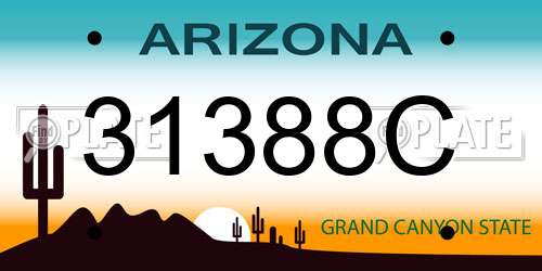 31388C Arizona License Plate