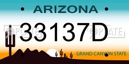 33137D Arizona License Plate