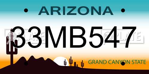 33MB547 Arizona License Plate