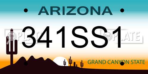 341SS1 Arizona License Plate