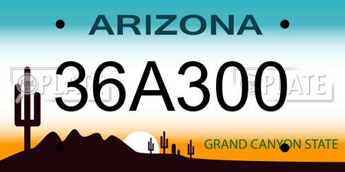 36A300 Arizona License Plate