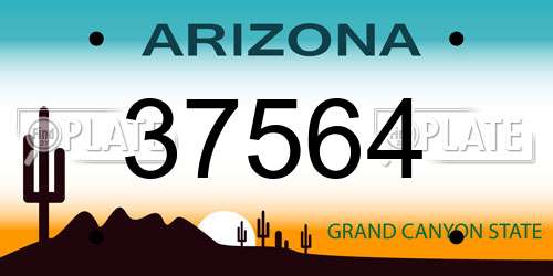 37564 Arizona License Plate