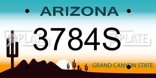 3784S Arizona License Plate