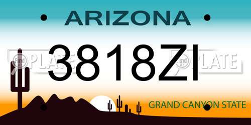 3818ZI Arizona License Plate