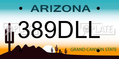 389DLL Arizona License Plate