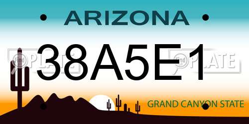 38A5E1 Arizona License Plate
