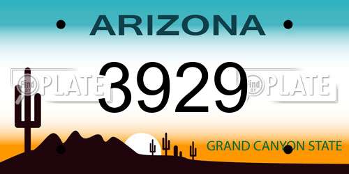 3929 Arizona License Plate