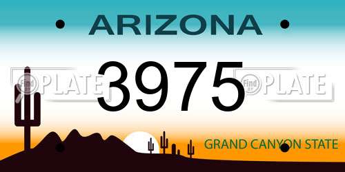 3975 Arizona License Plate
