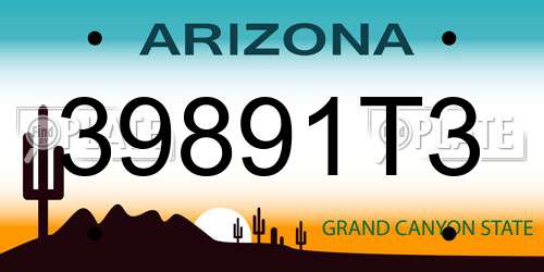 39891T3 Arizona License Plate