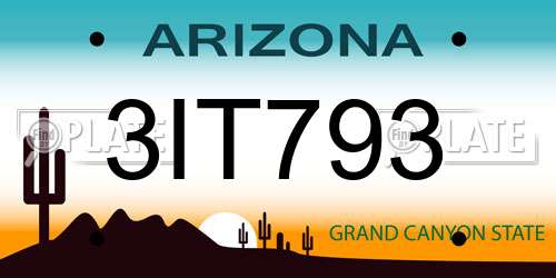 3IT793 Arizona License Plate