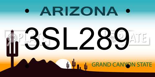 3SL289 Arizona License Plate