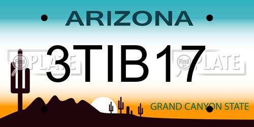 3TIB17 Arizona License Plate