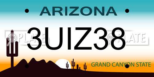 3UIZ38 Arizona License Plate