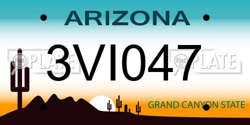 3VI047 Arizona License Plate