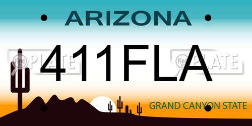 411FLA Arizona License Plate