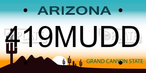 419MUDD Arizona License Plate