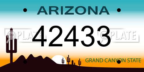 42433 Arizona License Plate