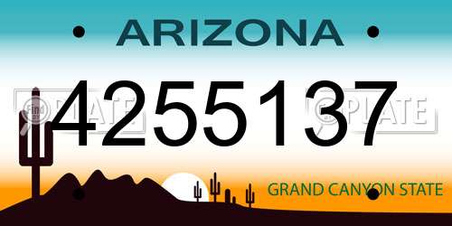 4255137 Arizona License Plate