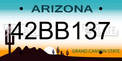 42BB137 Arizona License Plate