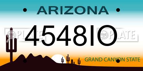 4548IO Arizona License Plate