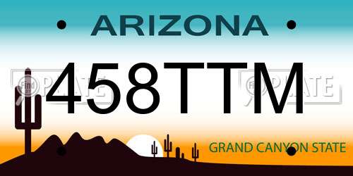 458TTM Arizona License Plate