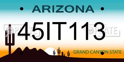 45IT113 Arizona License Plate