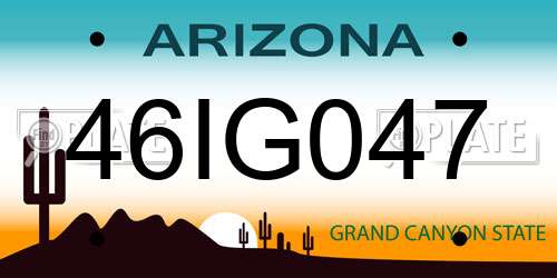 46IG047 Arizona License Plate