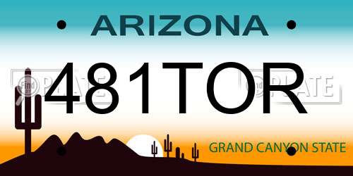 481TOR Arizona License Plate
