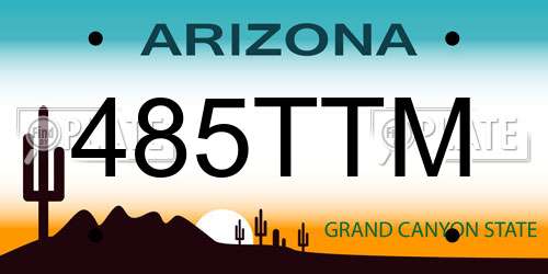 485TTM Arizona License Plate