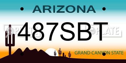 487SBT Arizona License Plate