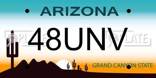 48UNV Arizona License Plate