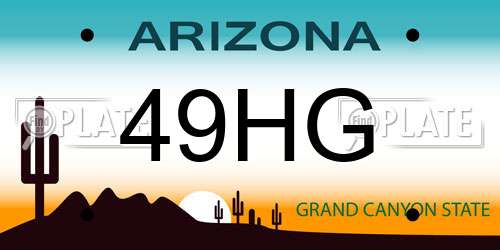 49HG Arizona License Plate