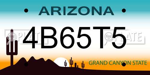 4B65T5 Arizona License Plate