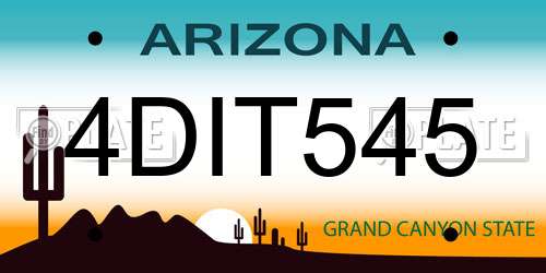 4DIT545 Arizona License Plate