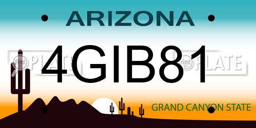 4GIB81 Arizona License Plate