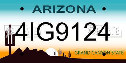 4IG9124 Arizona License Plate