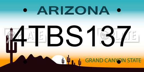 4TBS137 Arizona License Plate